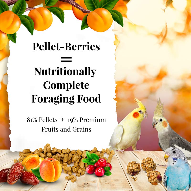 pellet berries Слънчева градина за средни видове папагали