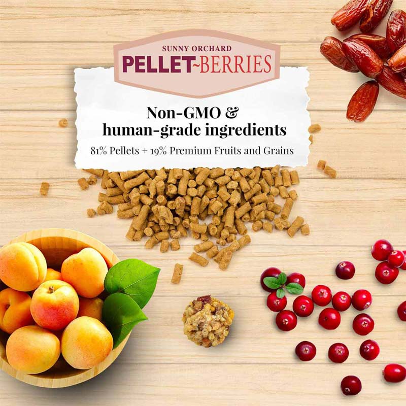pellet berries Слънчева градина за средни видове папагали