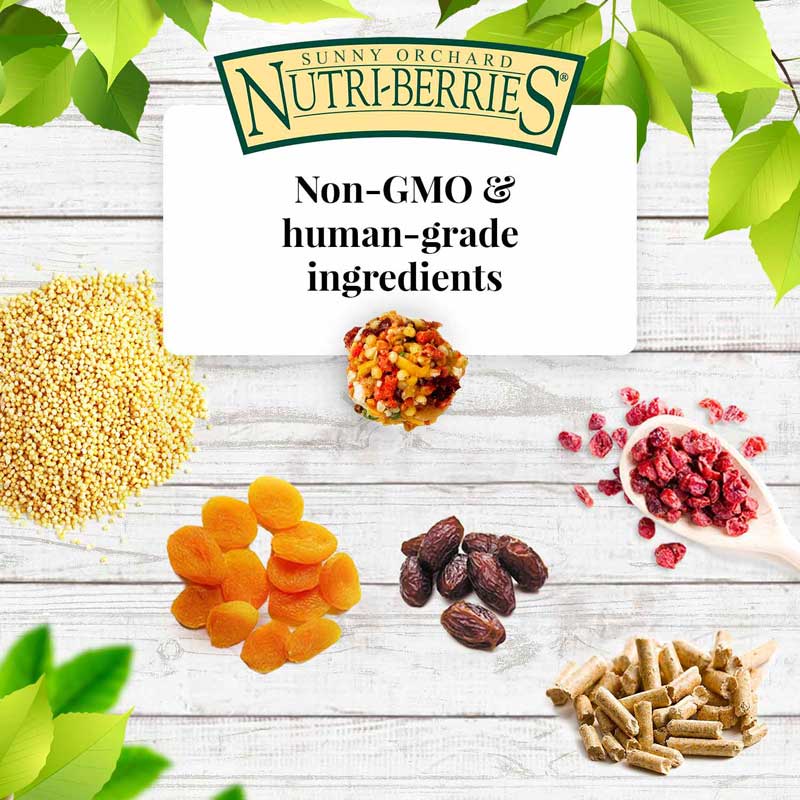 lafeber’s nutri berries Слънчева градина за средни и големи папагали