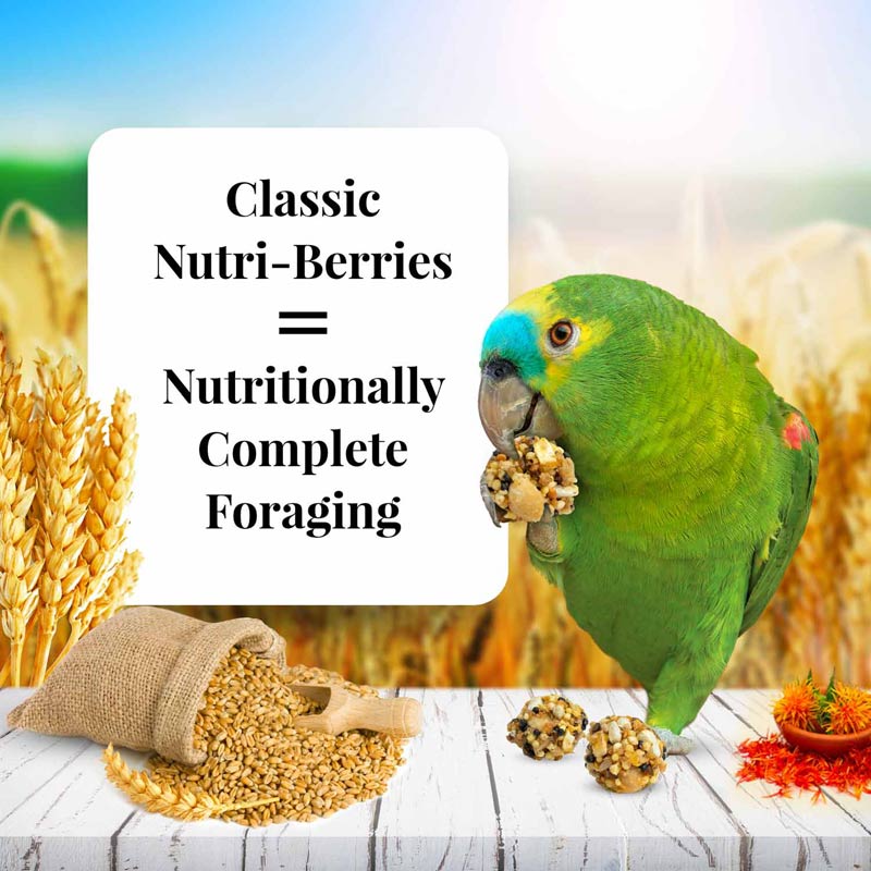 lafeber's nutri berries класик за средни и големи видове папагали
