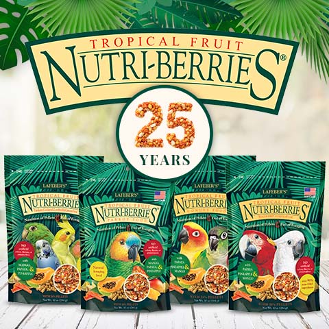 lafeber’s nutri berries с топически плодове за Жако, Амазона, Еклектус